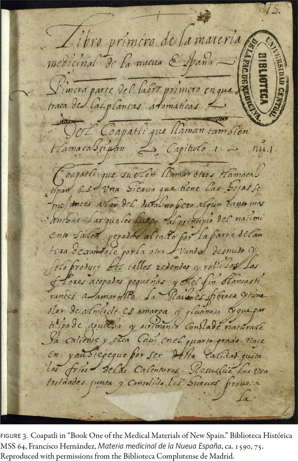 Manuscript page from Materia medicinal de la Nueva España, c. 1590