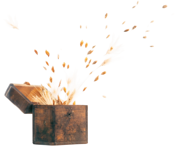 A wooden treasure chest, open, with grain and wheat seeds escaping in a swirl. The Otzar, treasure half of the compound. Transparent ground.